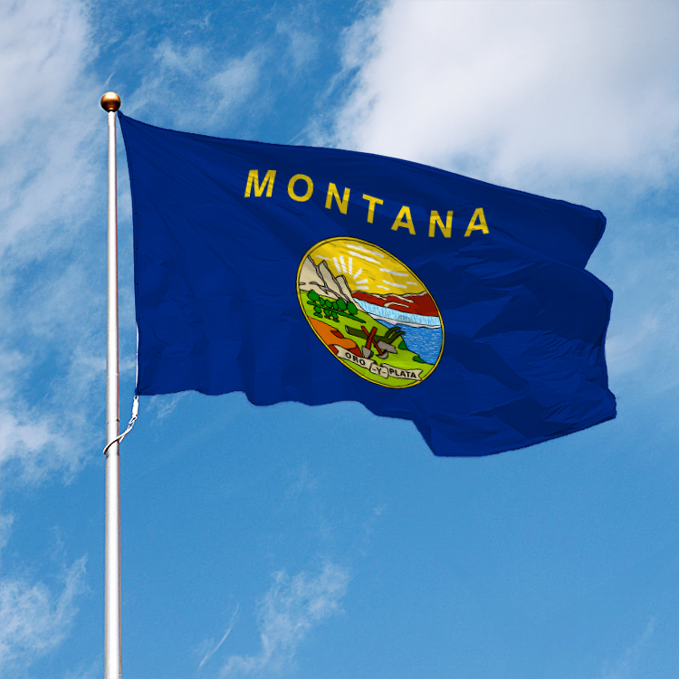 Montana State Flag